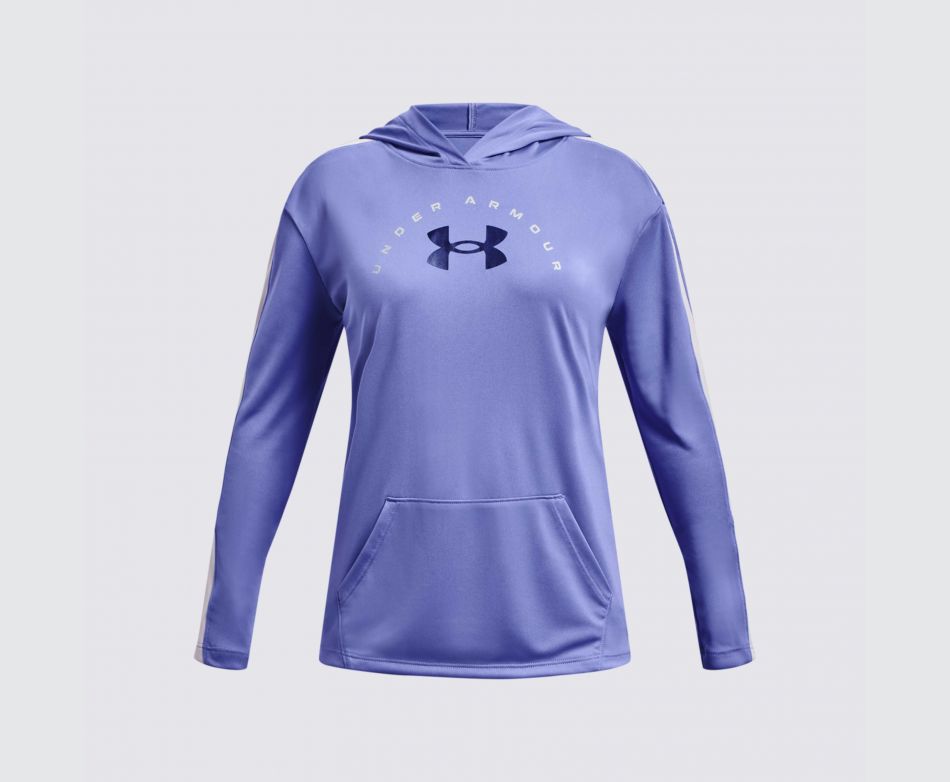 Under Armour  UA TECH GRAPHIC LS HOODIE